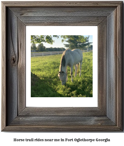 horse trail rides near me in Fort Oglethorpe, Georgia